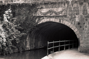 Untitled_5