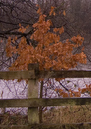 CRW_0627